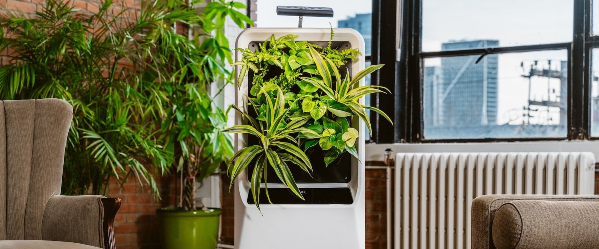 Can I Use an Air Ionizer in a Room with Plants or Pets?